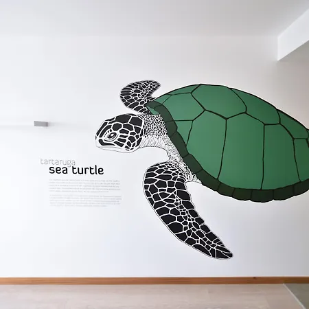 Casa Da Baia - 3* Horta (Azores)