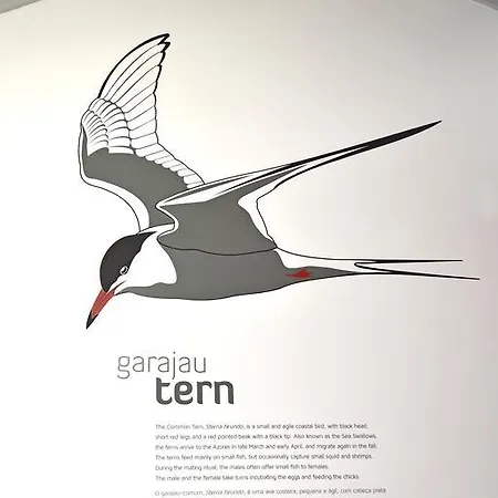 Casa Da Baia - أورتا