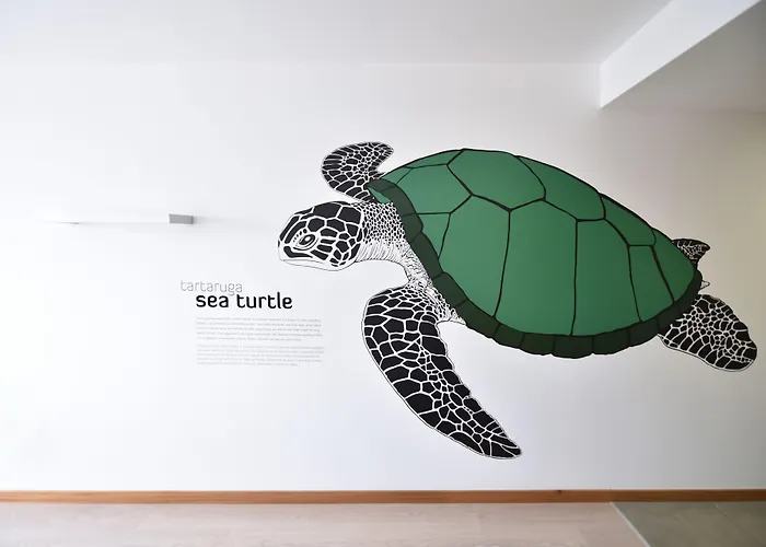 Casa Da Baia - 3* Horta (Azores)