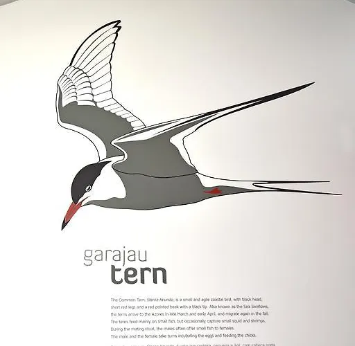 Casa Da Baía - Horta (Azores)